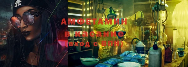 прущие грибы Вязьма