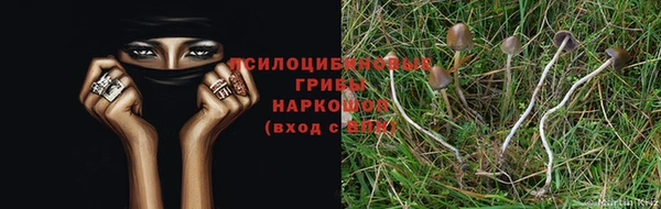 каннабис Алзамай
