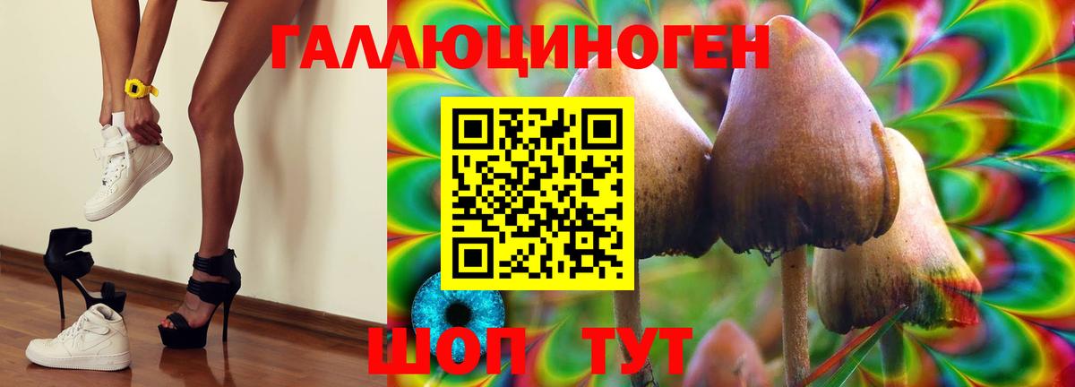 Качканар  Псилоцибиновые грибы Magic Shrooms  Вход с VPN  Псилоцибиновые грибы мицелий 