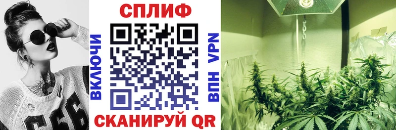 Канабис семена цена Качканар